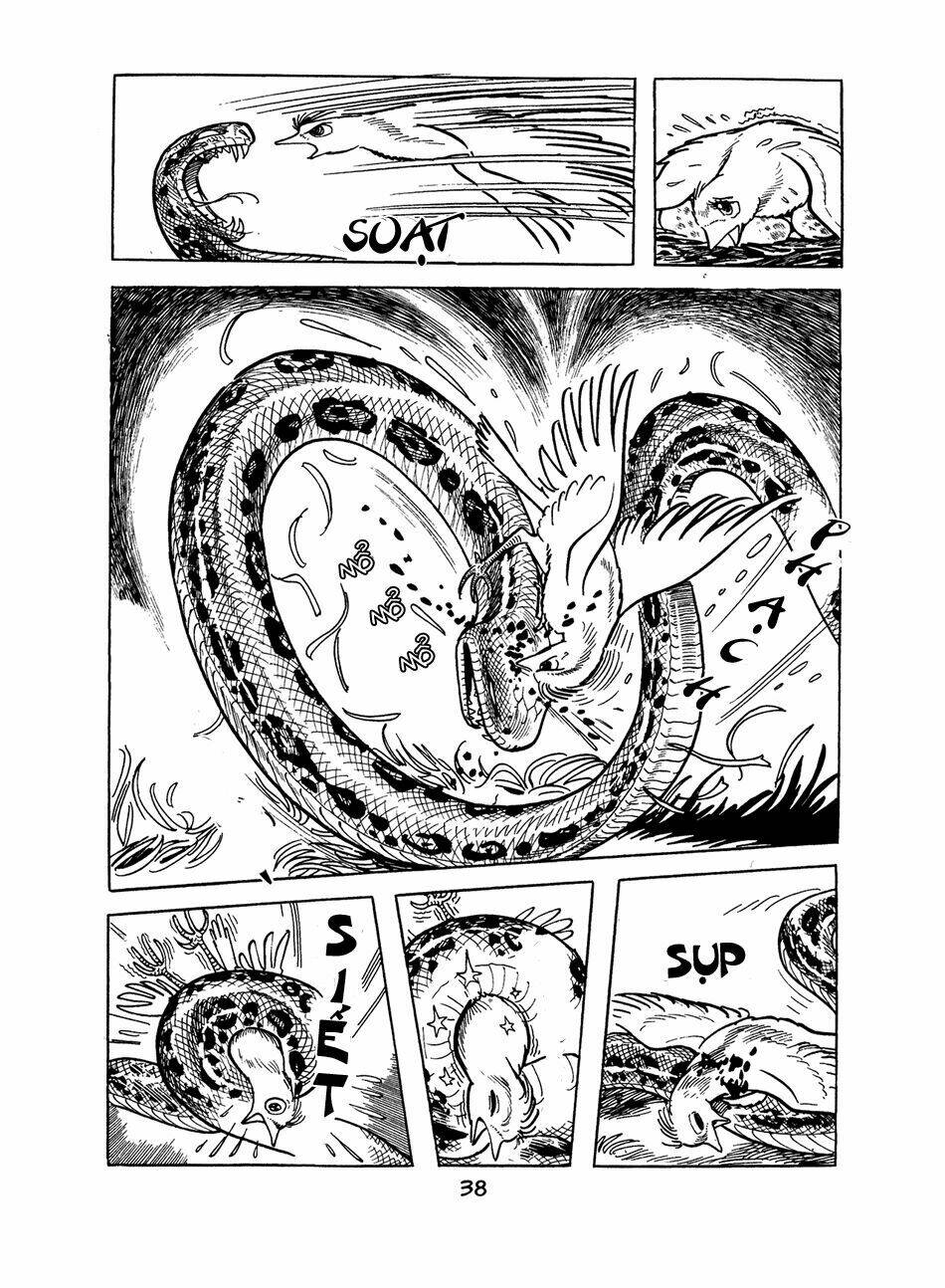 apollo’s song chapter 0 37