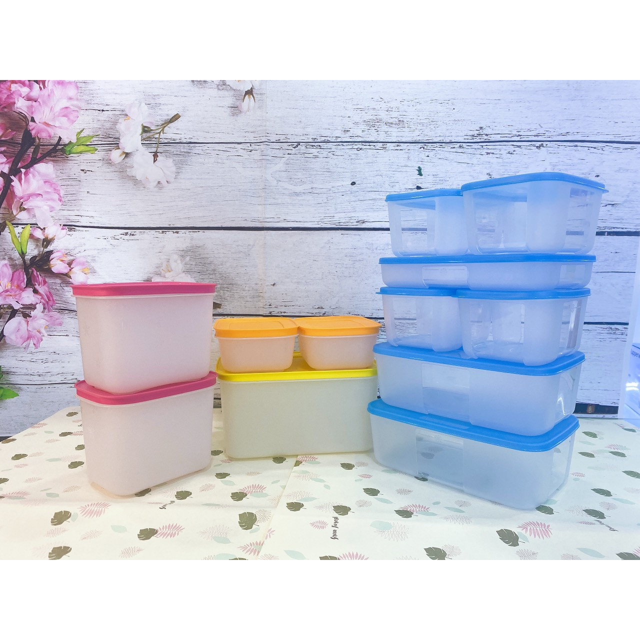 Combo Hộp bảo quản trữ đông và trữ mát hoàn hảo Mega 12 Tupperware