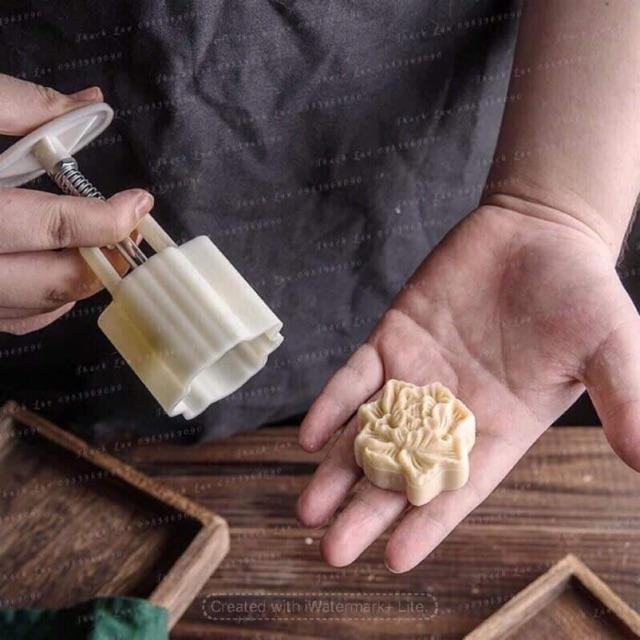 Khuôn tt hoa cẩm chướng 50g