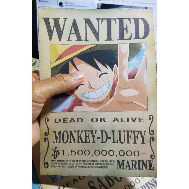 Bộ 3 tấm truy nã Ace Sabo Luffy tặng kèm Law trong onepiece wanted poster mỏng