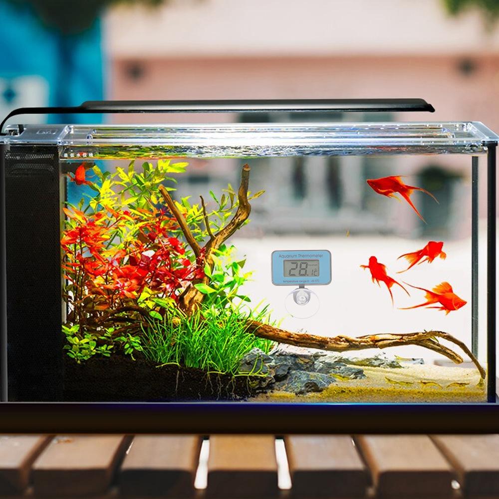 Nhiệt kế hồ cá màn hình LCD kỹ thuật số