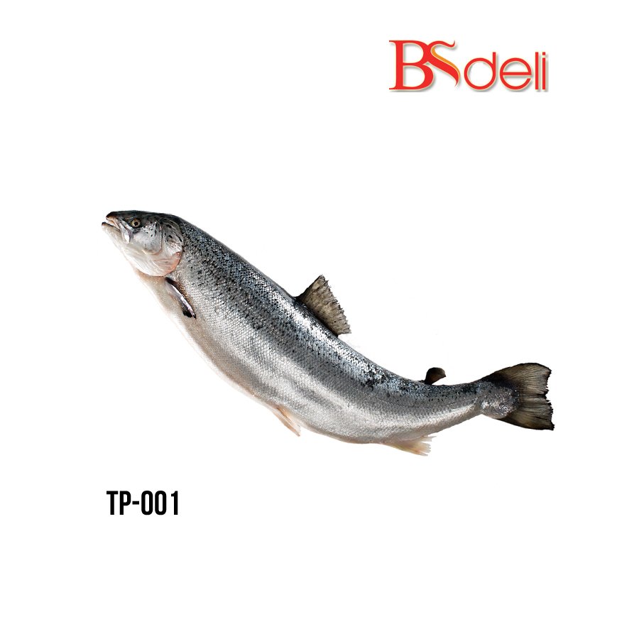 HCM - Cá hồi tươi nguyên con nhập khẩu 5-6 kg