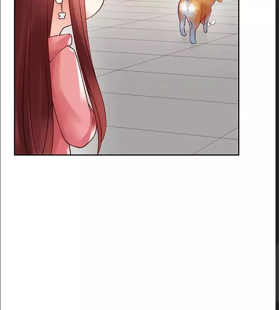 bạn trai 1/4 của tôi chapter 10 151