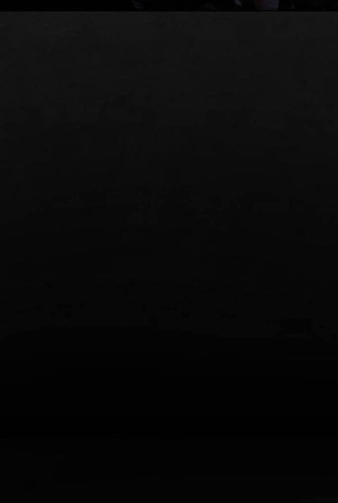 bạch huyết - white blood chapter 56 182