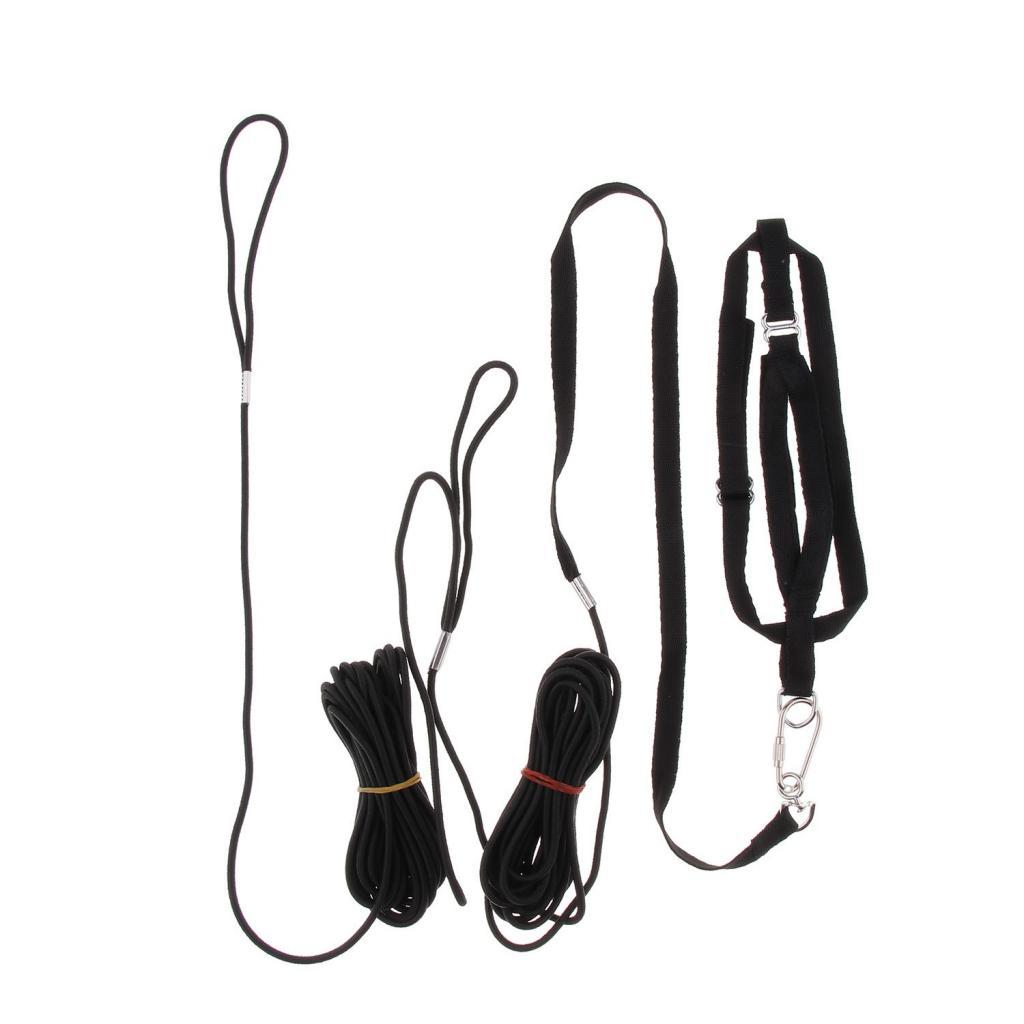 Outdoor Parrot Leash Adjustable Bird Harness For Small to Large Birds Black