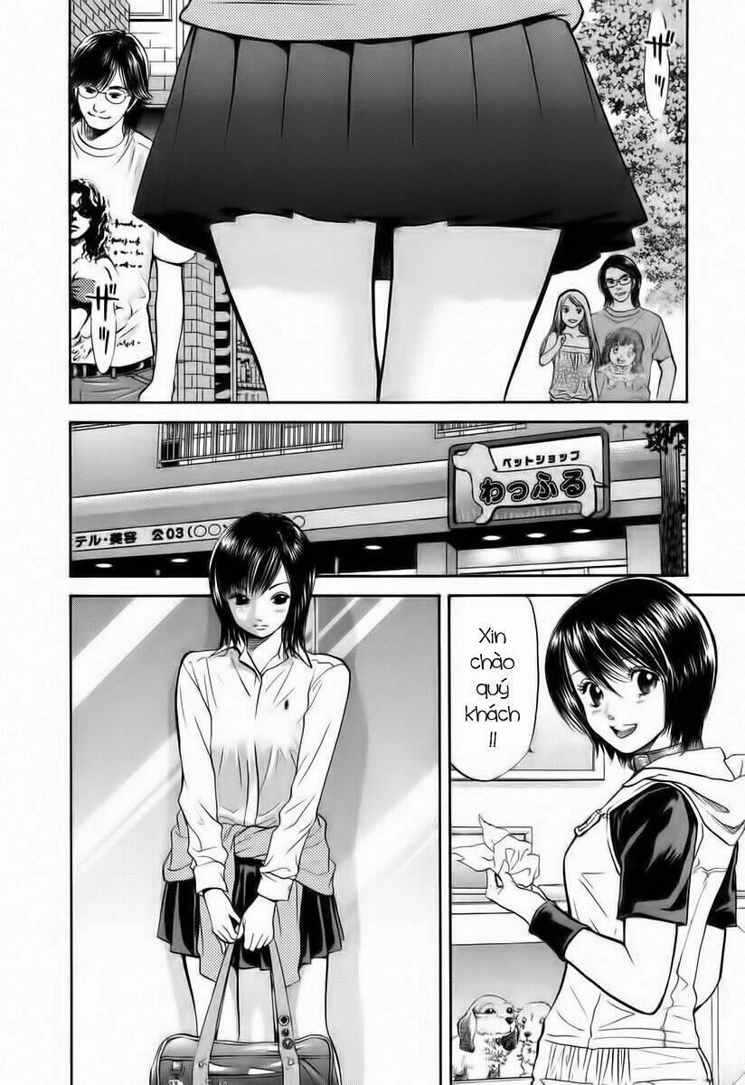 cô nàng yêu chó chapter 41 2