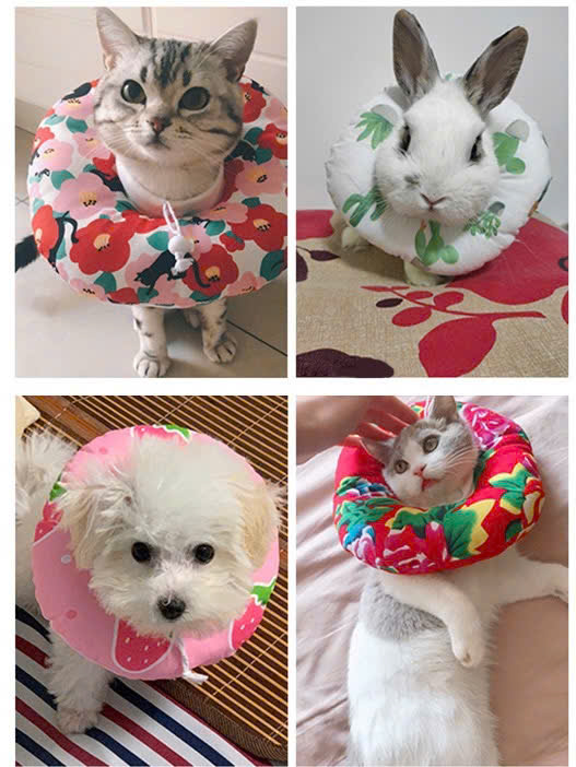 VÒNG CỔ THÚ CƯNG VÒNG CỔ LOA CHỐNG LIẾM CHO THỎ CHÓ MÈO TỪ 0.1-8KG MÃ 12 CHO CHÓ MÈO THỎ