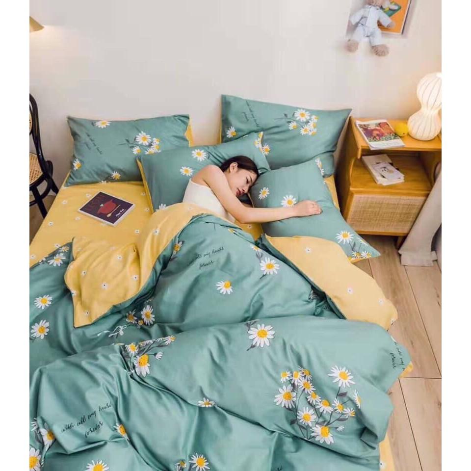 Bộ chăn ga gối Cotton poly M2T bedding Cúc họa mi, vỏ chăn nệm, drap nệm và 2 vỏ gối