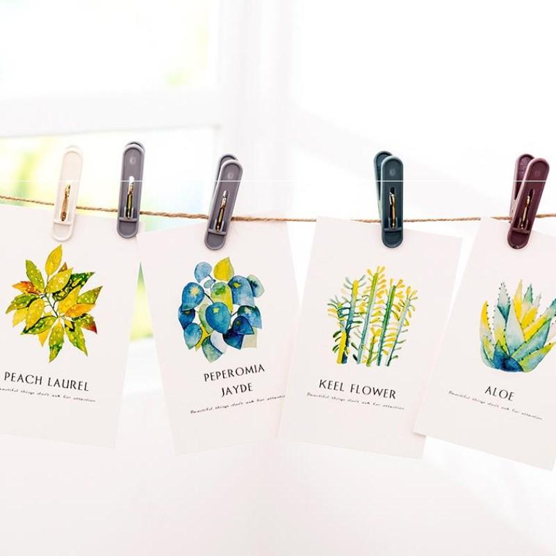 Set 24 Kẹp Quần Áo Chắc Chắn Có Tặng Kèm Rổ Đựng
