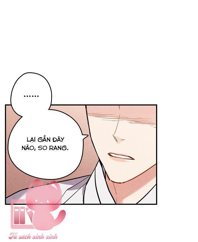 lệnh cấm hôn chapter 61 64