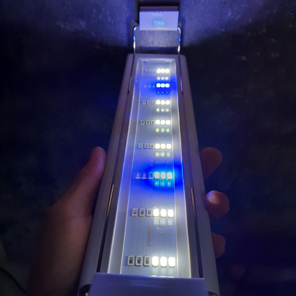 Đèn LED 4 DÃY - 3 CHẾ ĐỘ MÀU | Đèn Led Thuỷ Sinh Màu WRGB Siêu Sáng - Giá Rẻ