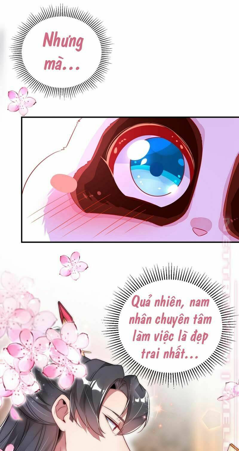 thiên thần gấu trúc muốn được ôm chapter 61 7