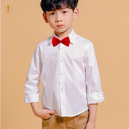 Set bộ vest TRAZ màu sáng xám xanh kem be
