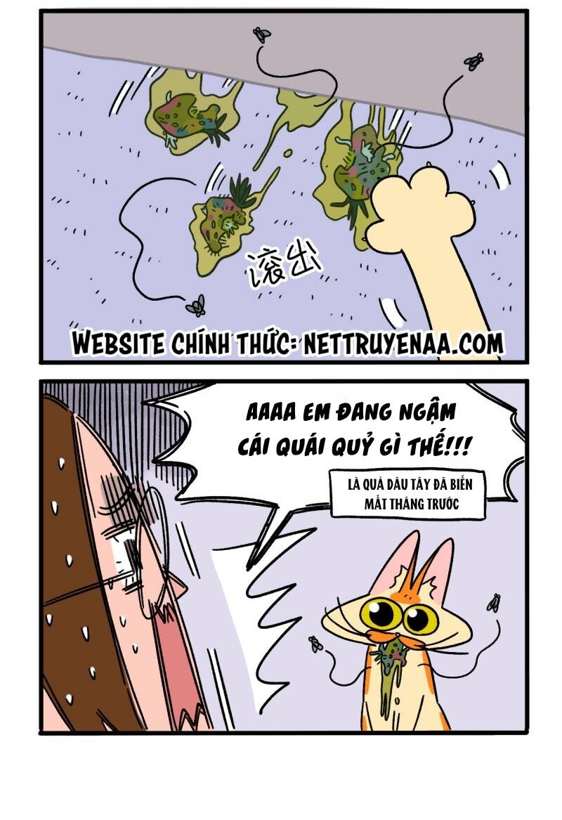 a mãn và mạch trà chapter 5 4