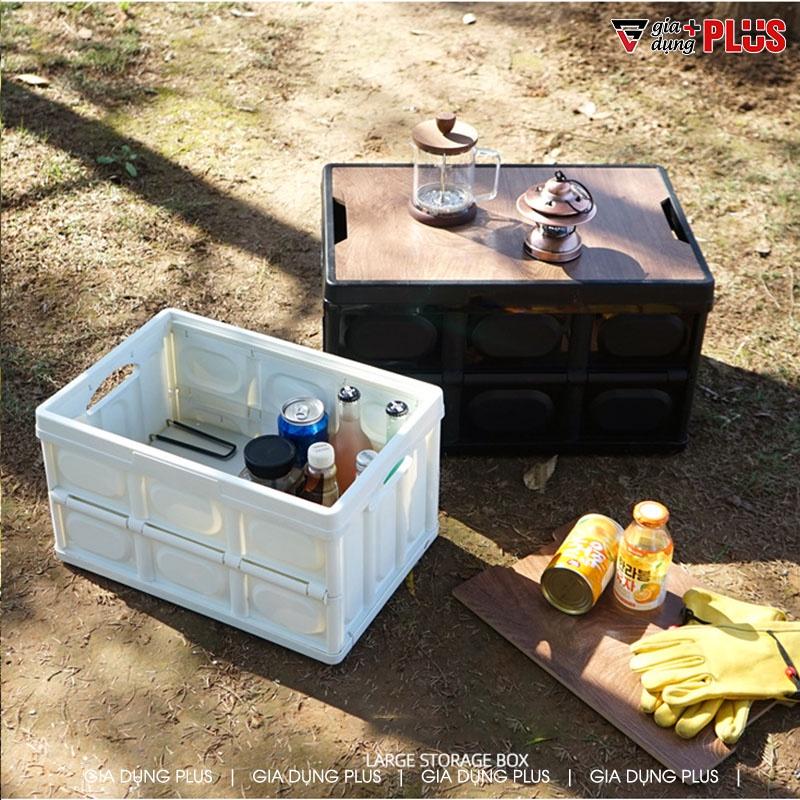 Hộp Đựng Đồ Picnic Mặt Vân Gỗ Gấp Gọn, Nhựa PP Chắc Chắn (Dung Tích 30L &amp; 55L