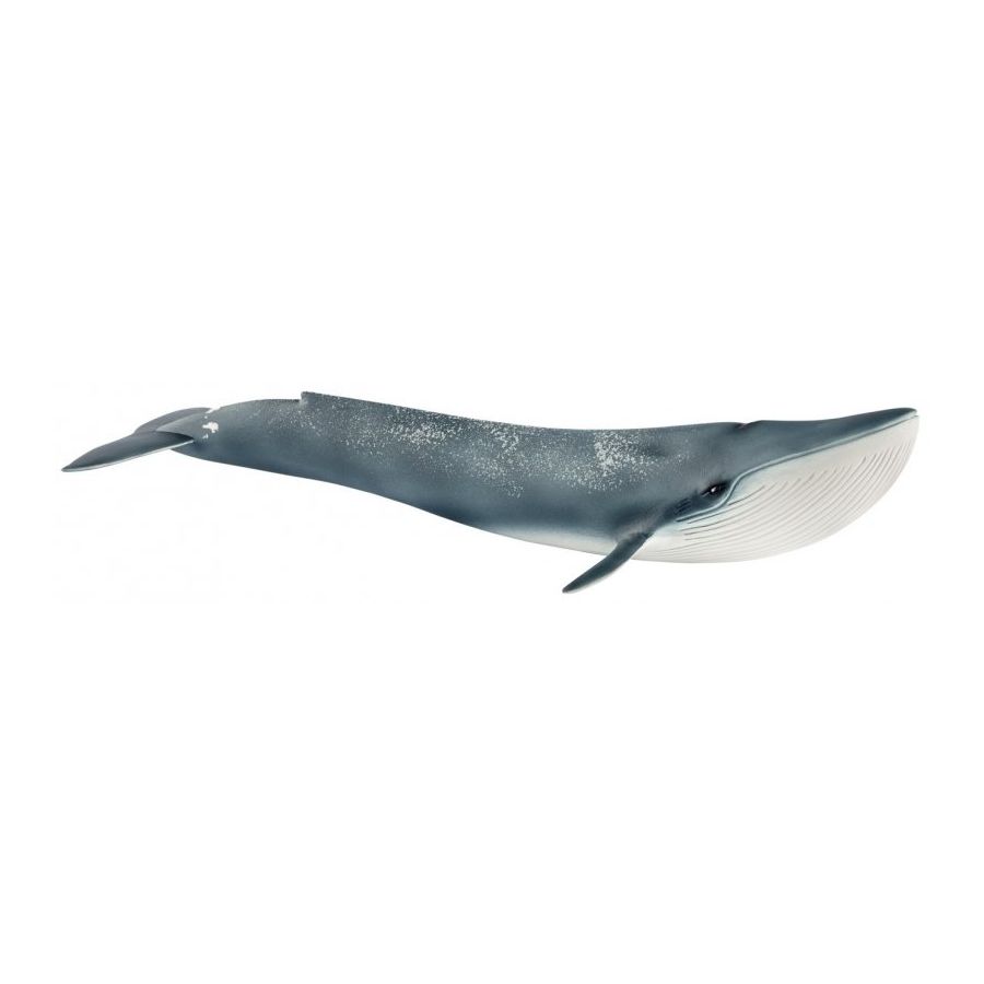 Mô hình cá voi xanh Schleich 14806