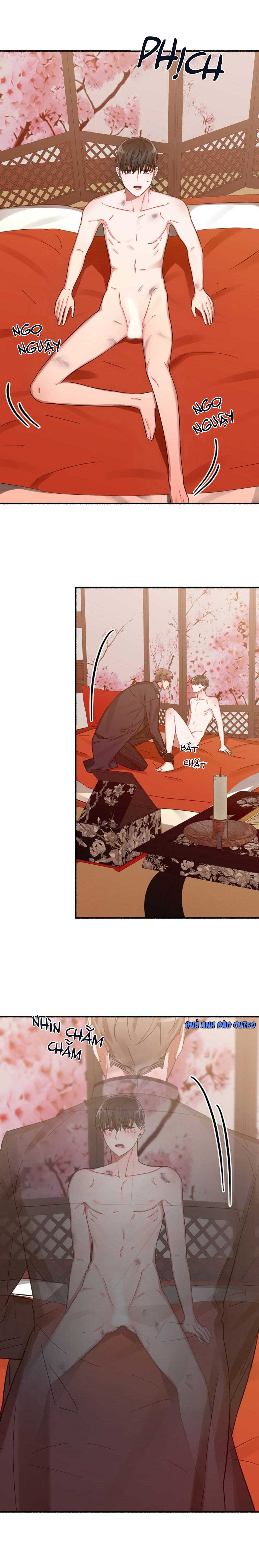 hoa triều chapter 10 17