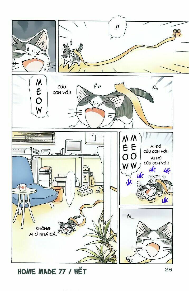 chi's sweet home chapter 77 10