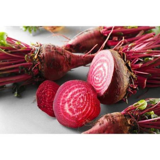 Củ Dền Đỏ+ 700g phân thỏ hữu cơ ki mập khỏe ấm chậu
