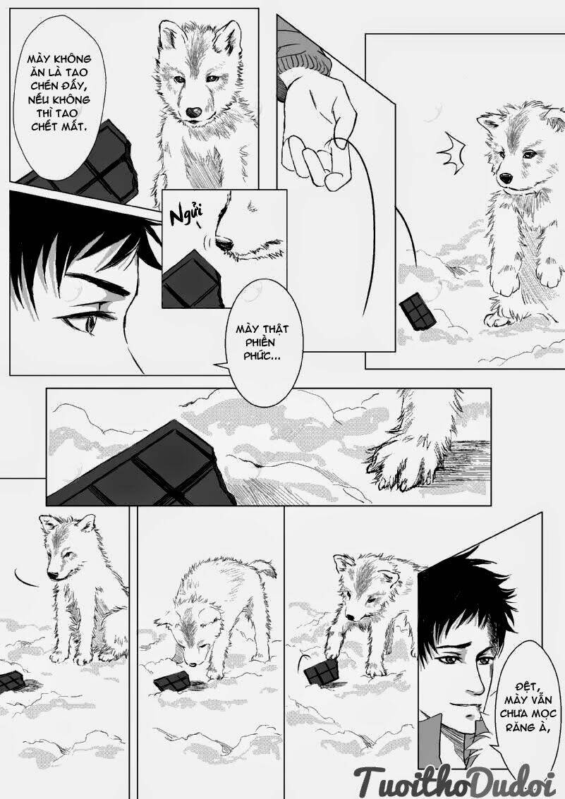 sự mê hoặc của sói chapter 1 16