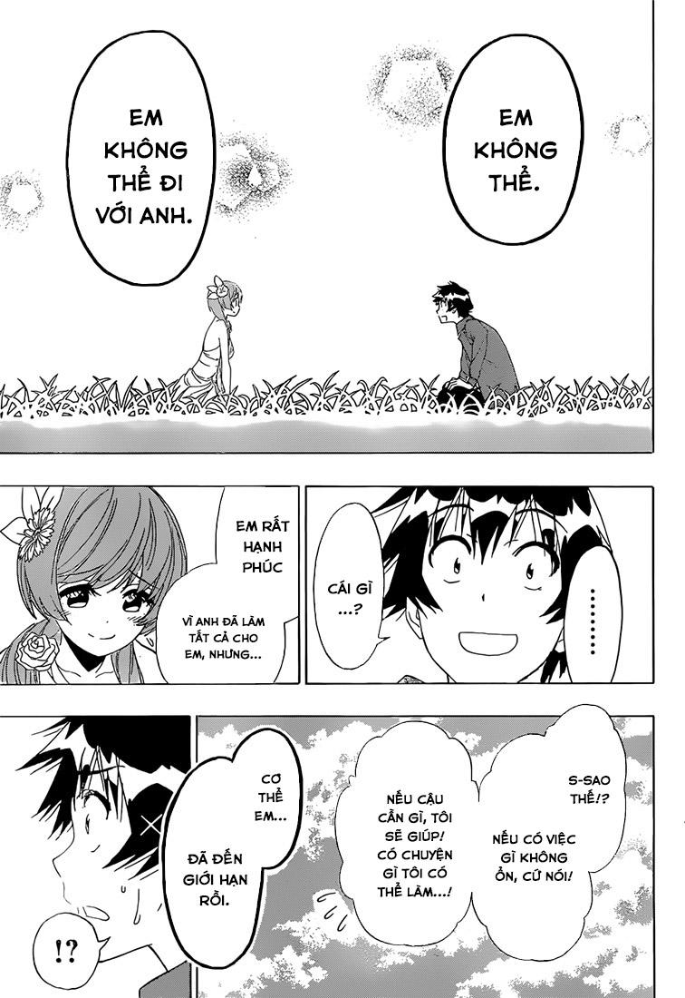 nisekoi - tình yêu giả tạo chapter 194 10