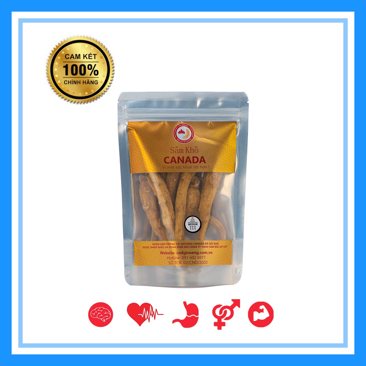 Nhân Sâm Canada - Sâm Khô Nguyên Củ - Medium