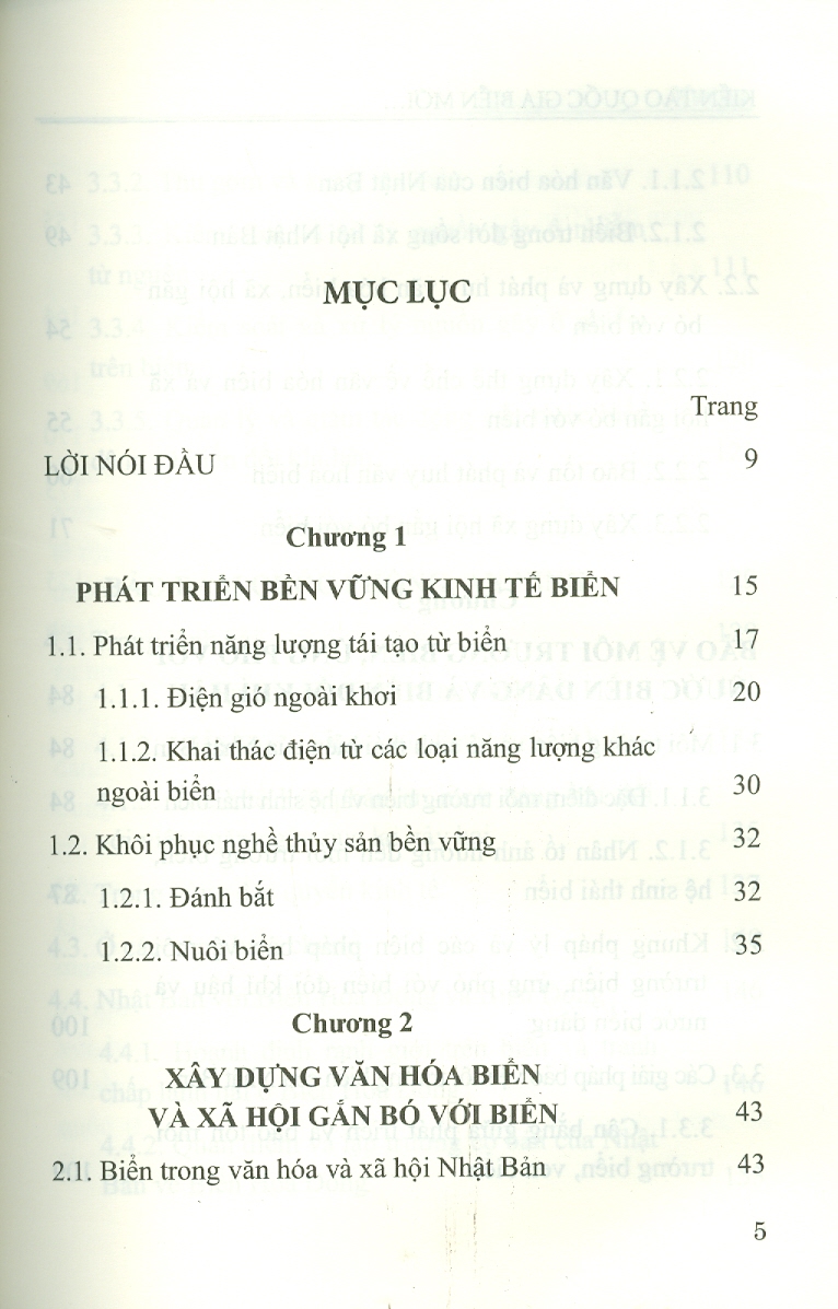 Kiến Tạo Quốc Gia Biển Mới Ở Nhật Bản (Sách chuyên khảo)