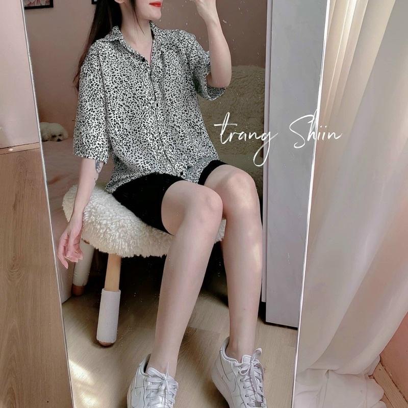 SET SƠ MI BEO + QUẦN LEGGING LỬNG