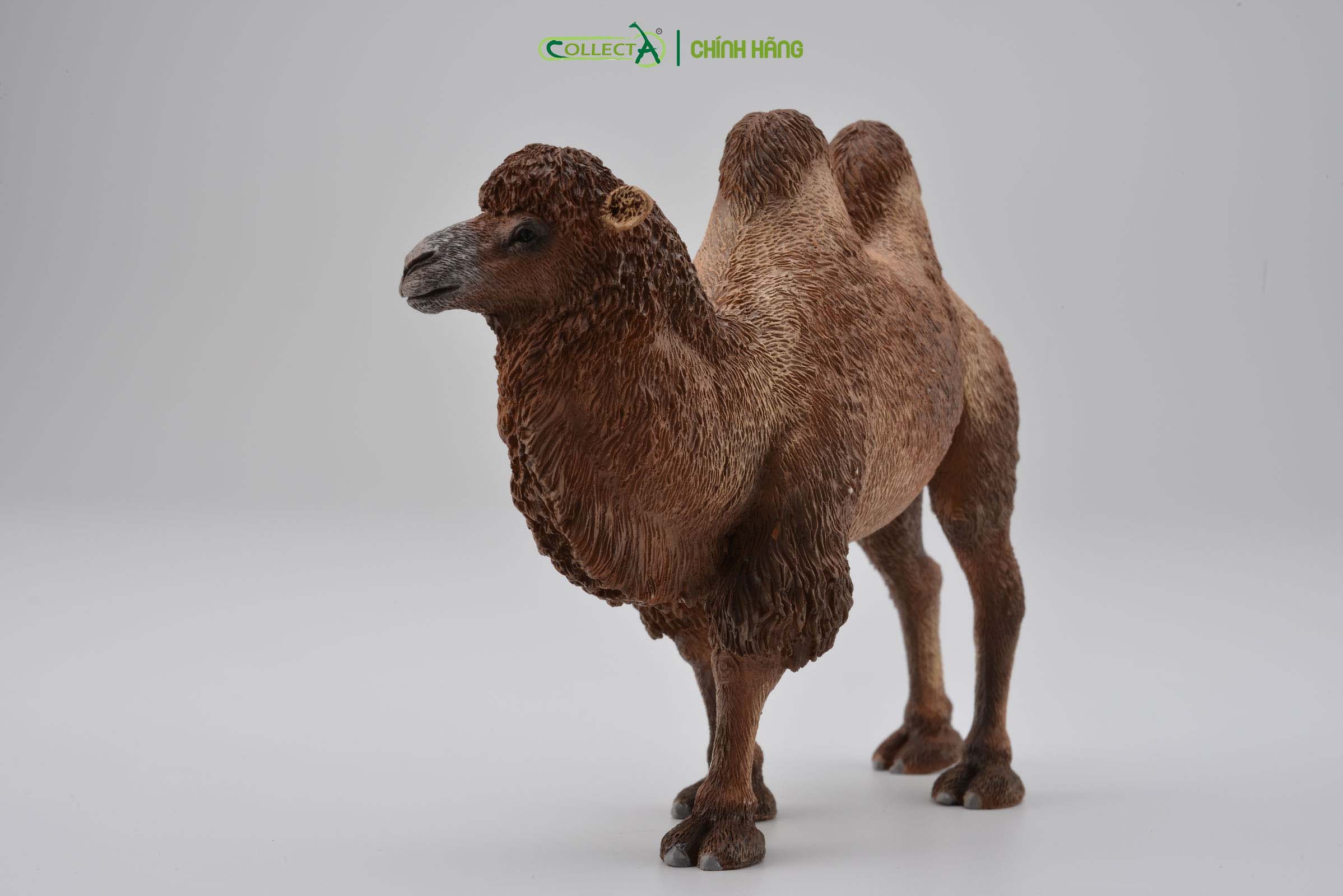 Mô hình thu nhỏ: Lạc Đà - Bactrian Camel, hiệu: CollectA, mã HS 9651180[88807] -  Chất liệu an toàn cho trẻ - Hàng chính hãng