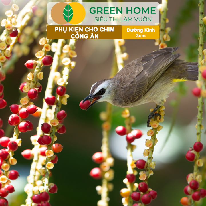 Cóng Ăn Cho Chim GreenHome, Nhựa Mica, Cho Chim Hút Mật, Khuyên, Chòe Đất, Yến,.. Siêu Bền, Nhỏ Gọn