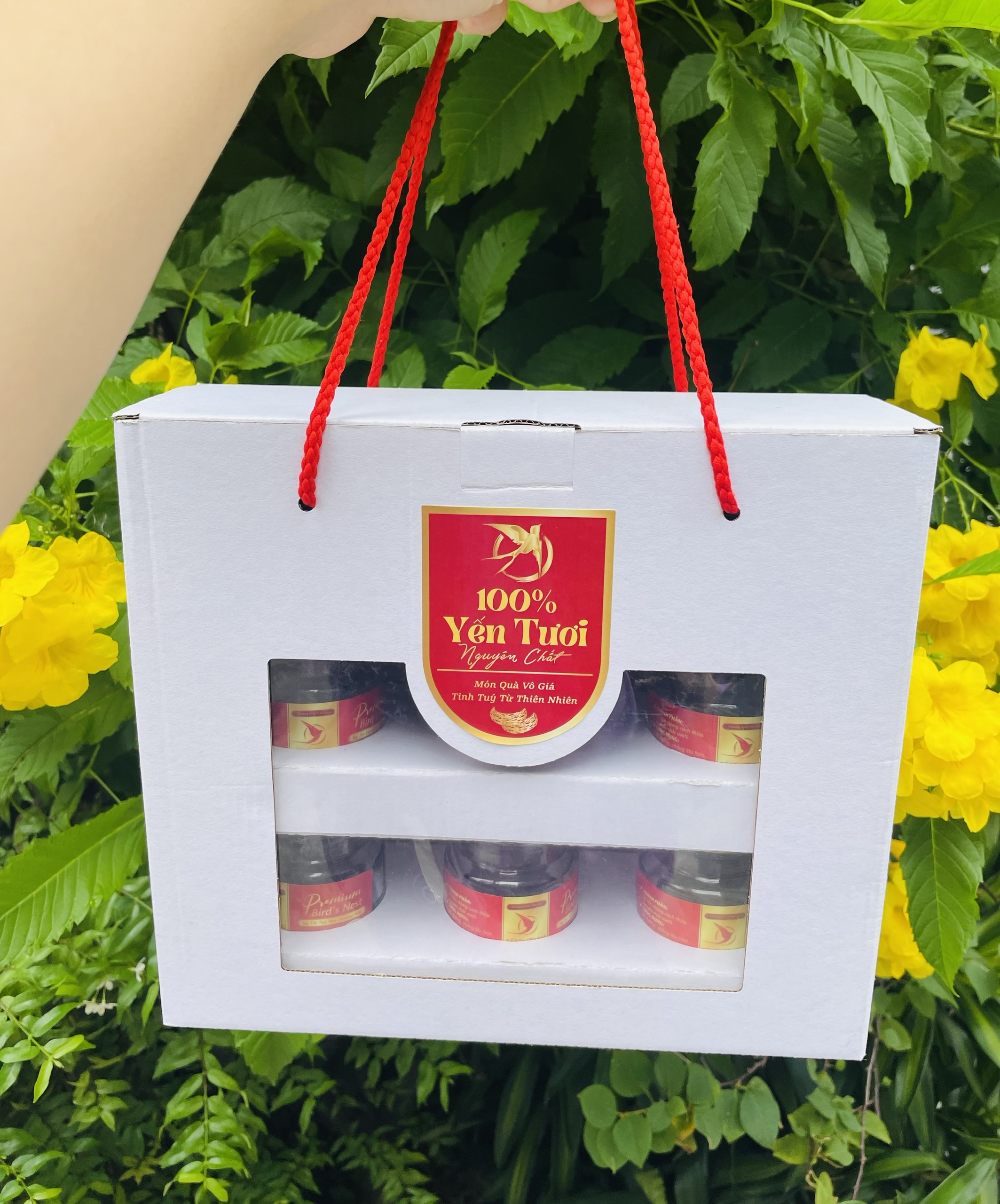 Combo 10 hộp 6 hủ yến kính trong tặng kèm bộ tem hủ sang trọng giá siêu hạt dẻ -có khay cho hủ lục giác 100ml