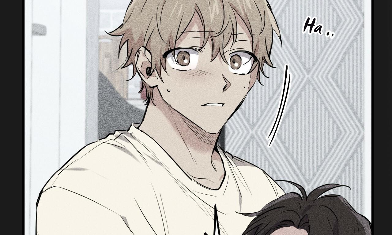 đàn thỏ của habibi chapter 37 22