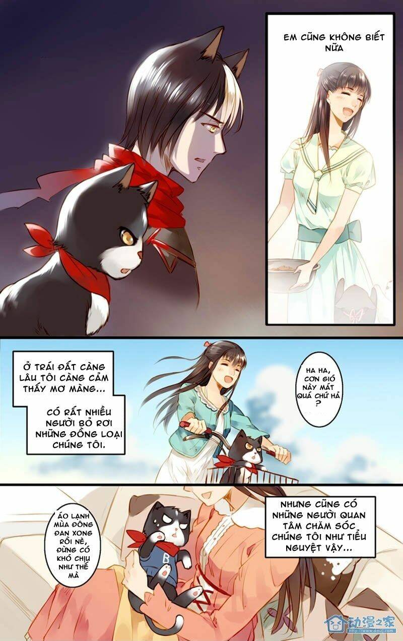 hằng mộng nam thần chapter 22 22