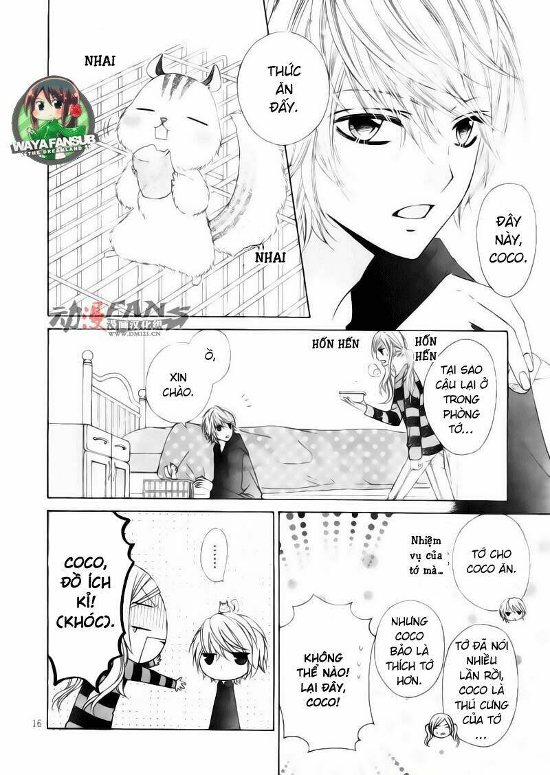 stardust wink chapter 1 19