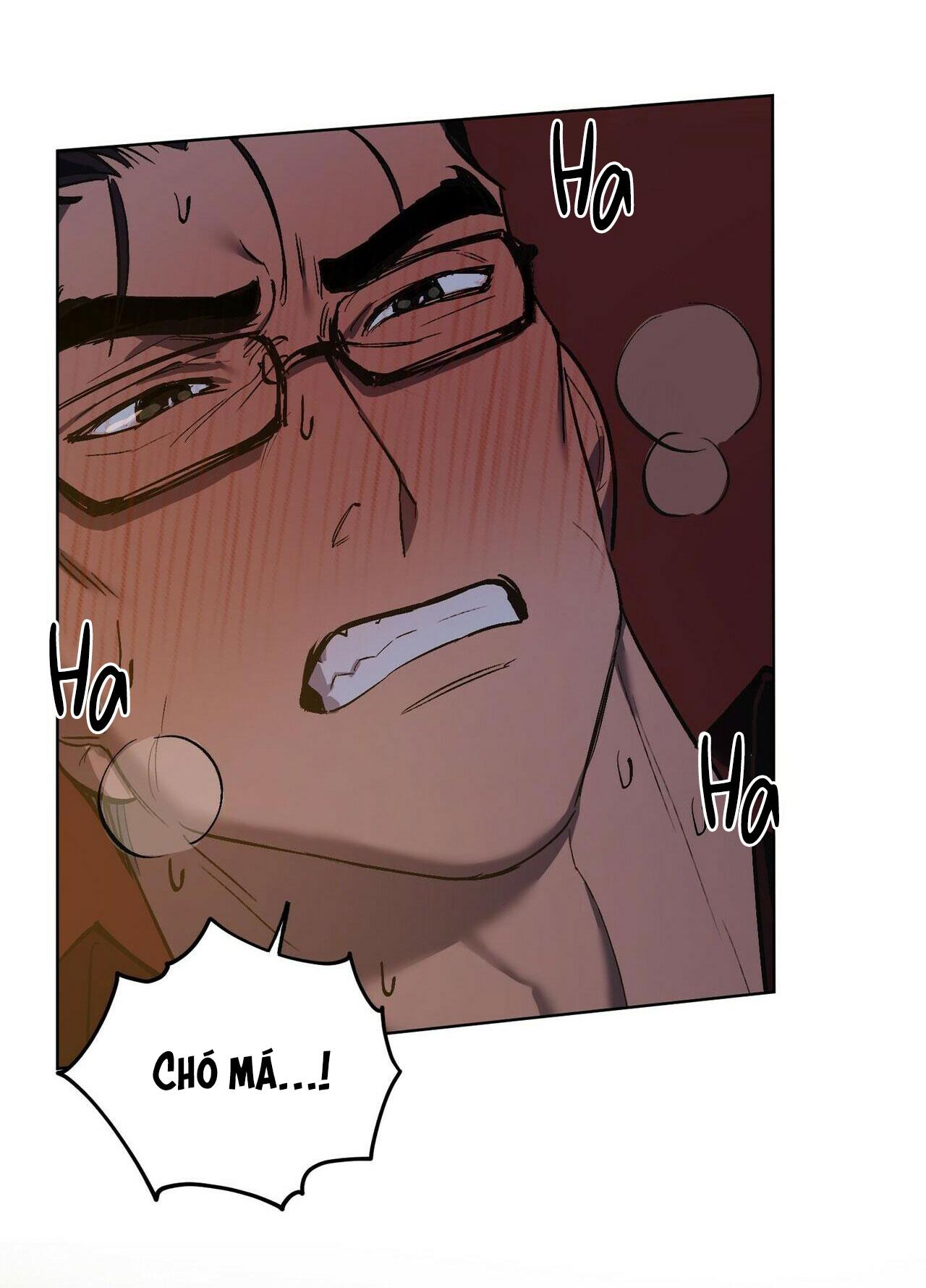 làm dâu nhà tài phiệt họ kang chapter 22 53