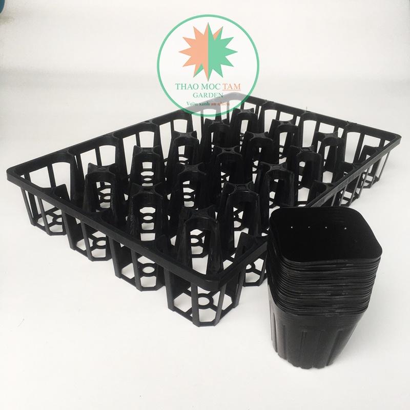 Bộ Khay 24 lỗ + 24 Chậu ươm 9.0 chuẩn Nhật - Khay ươm cây con, cây giống làm vườn