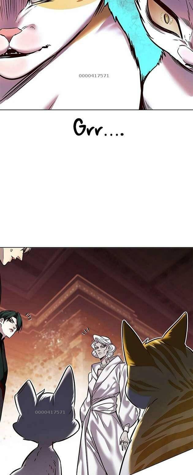 biến thân thành mèo chapter 246 17