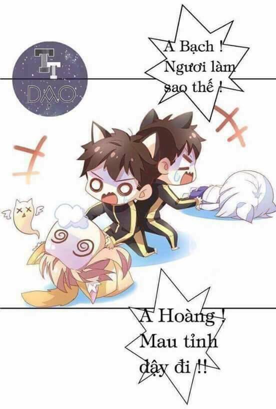 dưới móng vuốt mèo chapter 3 47