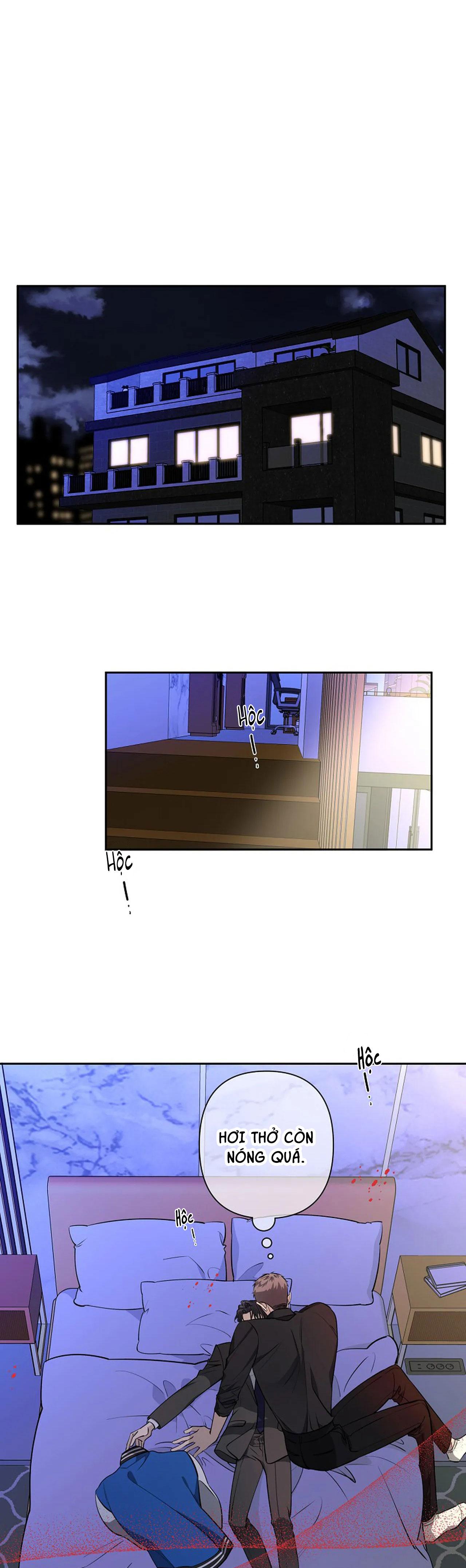 đêm dịu dàng chapter 37 14