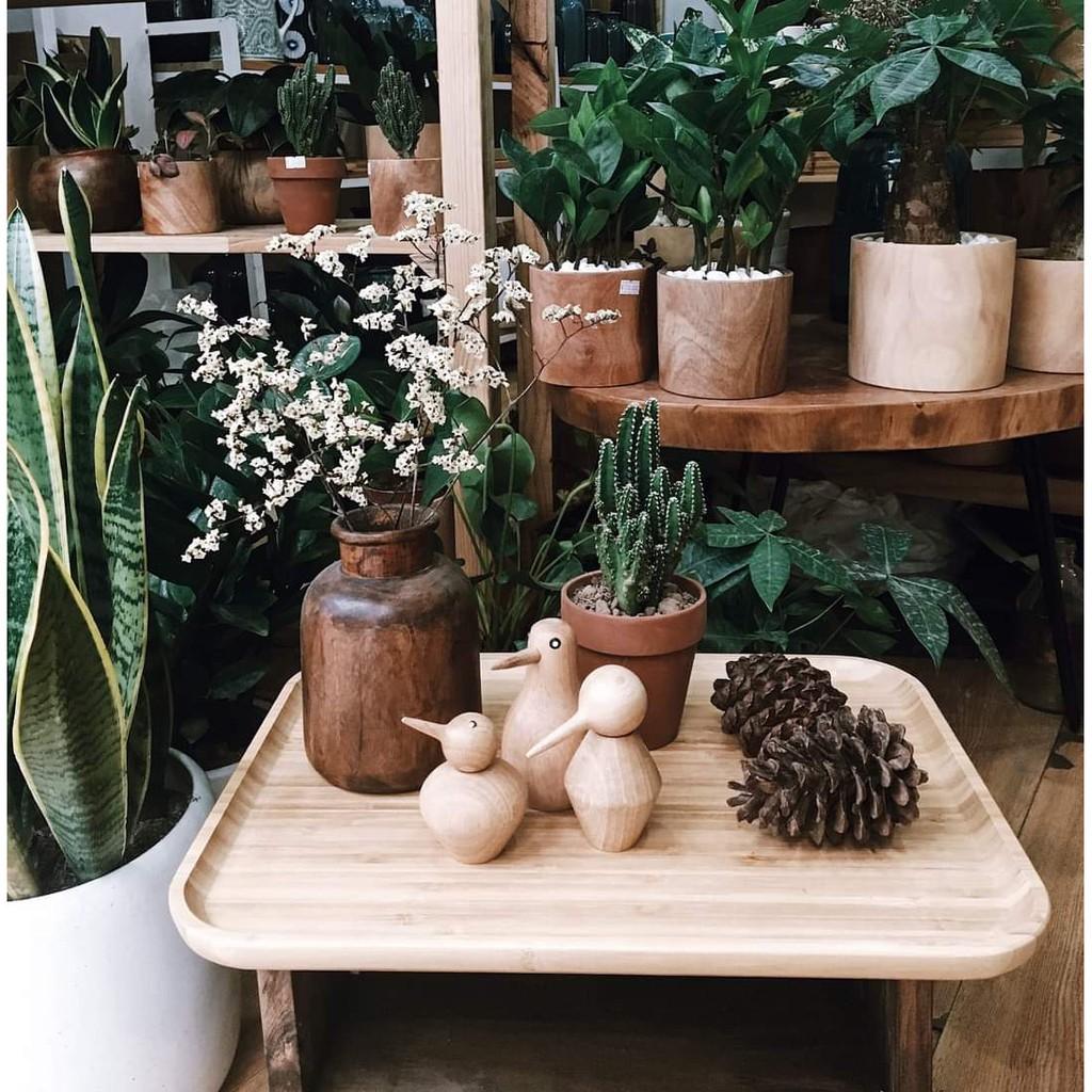 KHAY GỖ TRE HÌNH VUÔNG - CHỮ NHẬT