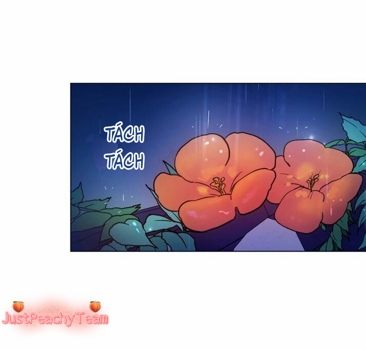 khi những nụ hoa nở rộ chapter 7 33