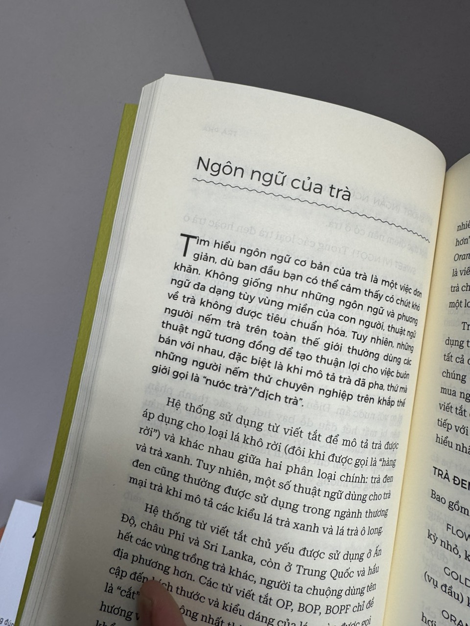 HIỂU HẾT VỀ TRÀ - HIỂU HẾT VỀ CÀ PHÊ - Brian R. Keating & Kim Long - Lani Kingston - Nguyễn Minh - Kiều Ân dịch - Alpha Books - NXB Thế Giới.