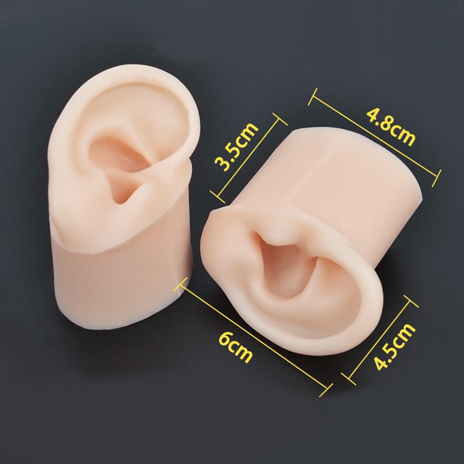 1Set Soft Silicone Ear Model with Base Delicate Texture Earrings Display