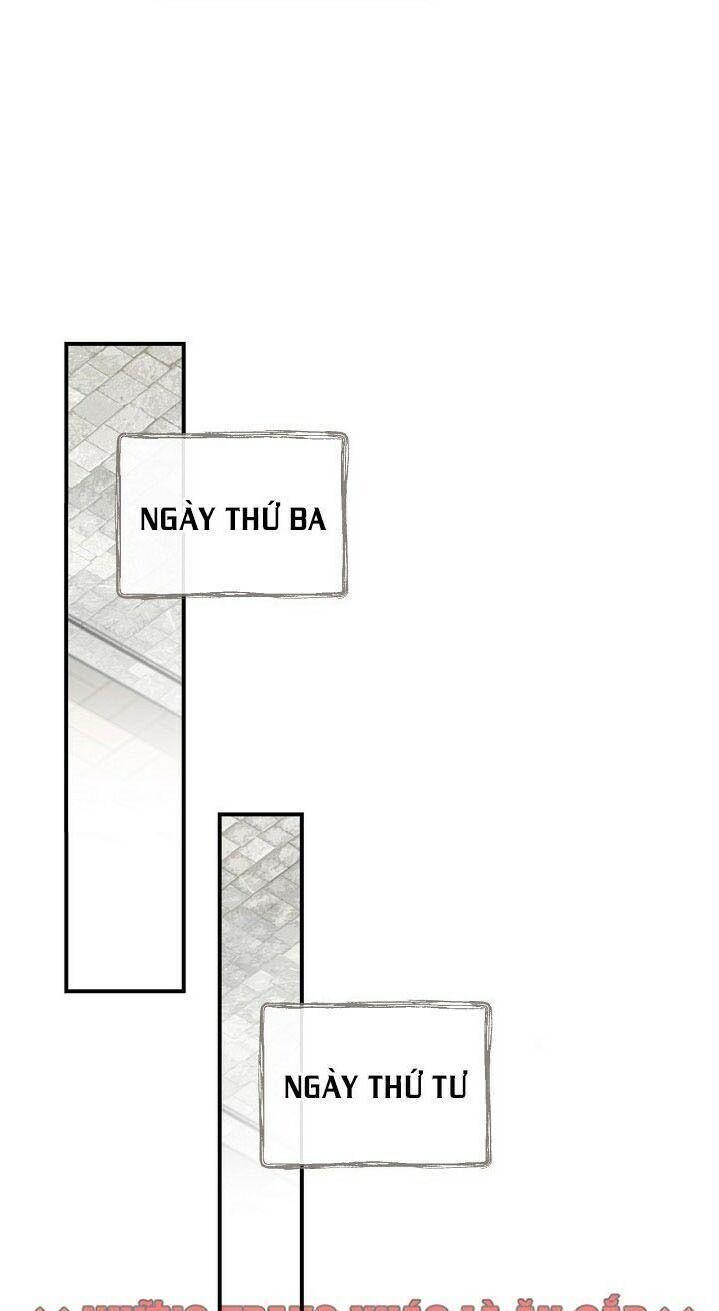 tôi lên cấp chỉ bằng cách ăn chapter 31 38