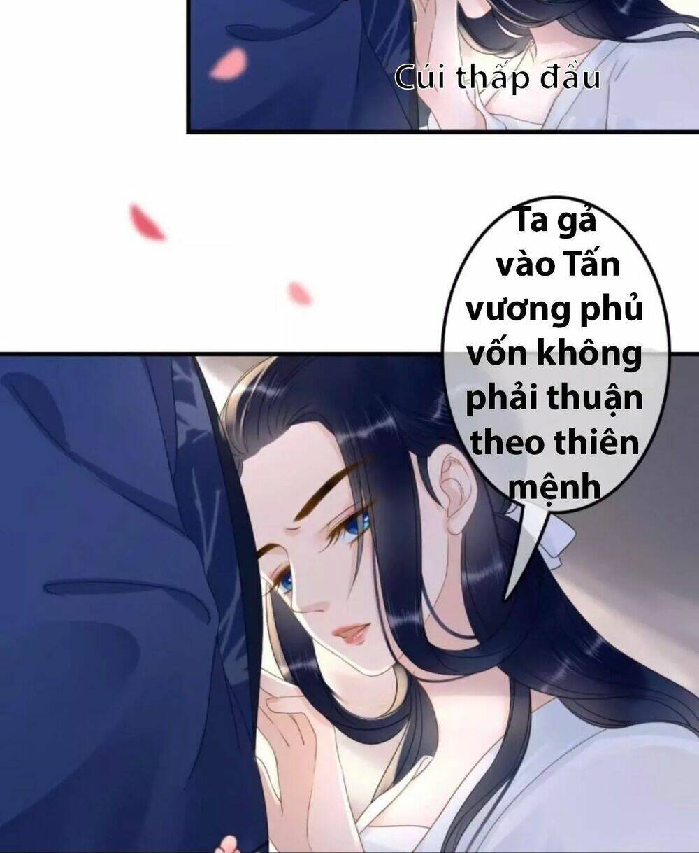 sủng phi của vương chapter 88 24