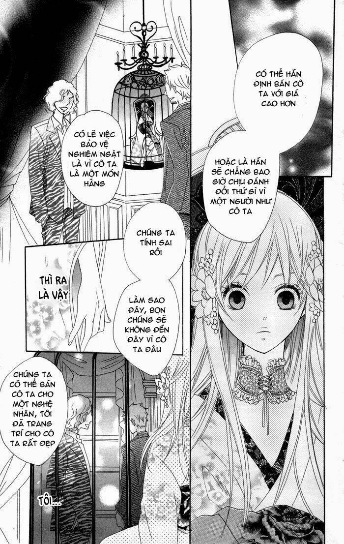 hoa hồng hoang dã chapter 2 22