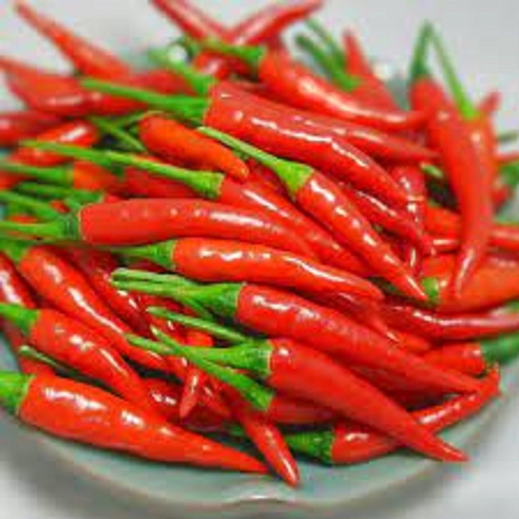 HẠT GIỐNG ỚT HIỂM LAI DEMON cao sản