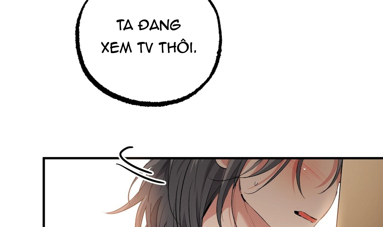 đàn thỏ của habibi chapter 45 233