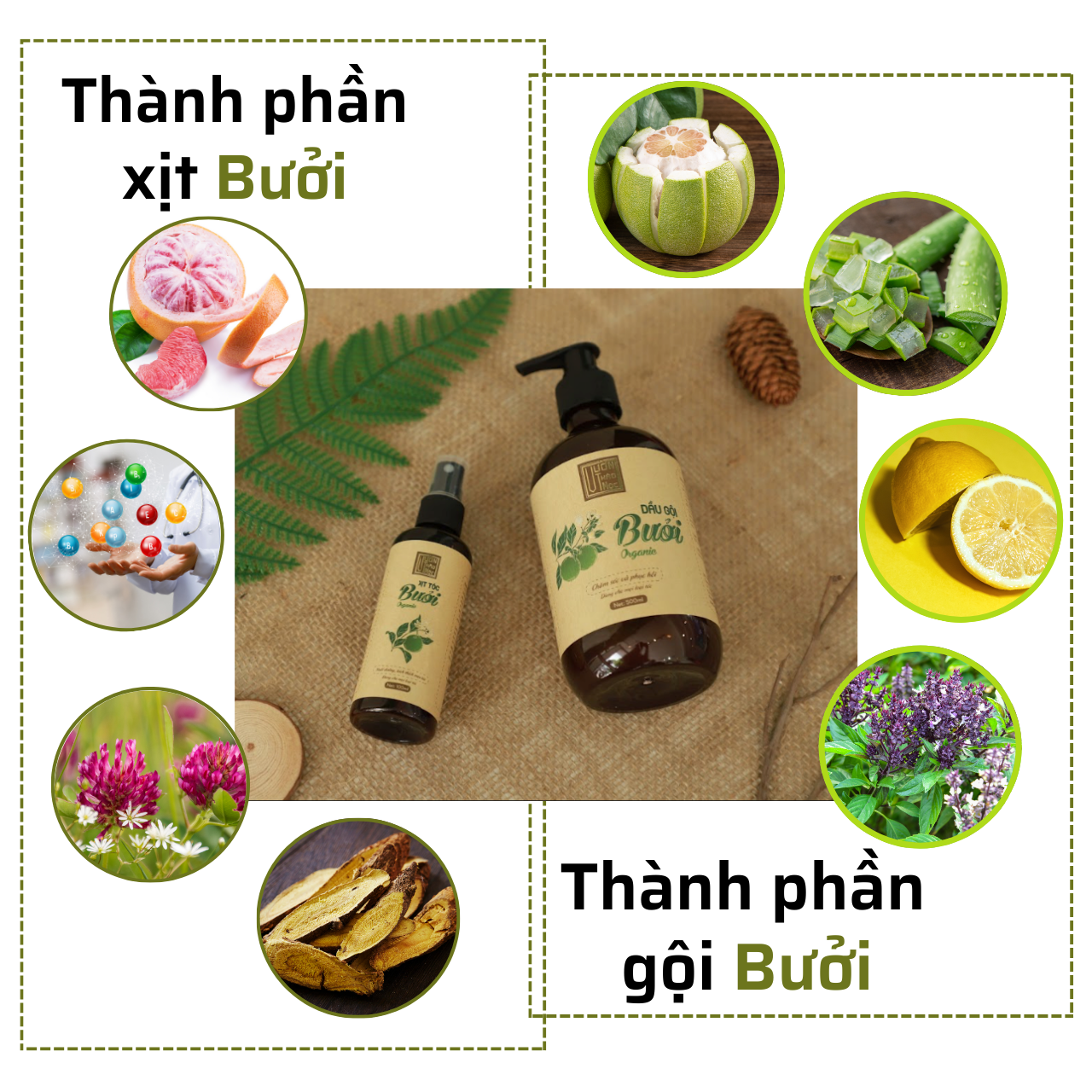 Combo Dầu Gội Bưởi 500ml Xịt Dưỡng Tóc Bưởi 100ml VƯỜN THẢO MỘC ORGANIC Chăm Sóc Tóc Dưỡng Tóc Mọc Dày