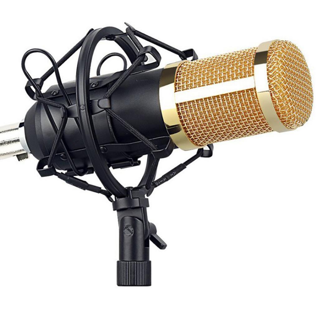 Condenser Microphone Large Diaphragm MIC for Broadcasting/Studio Recording